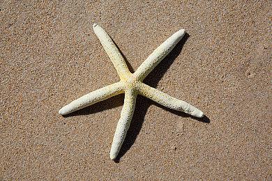 《Splintered》登陆Steam 初代勇者斗恶龙风格RPG